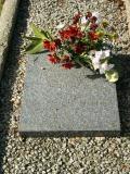 image of grave number 97485